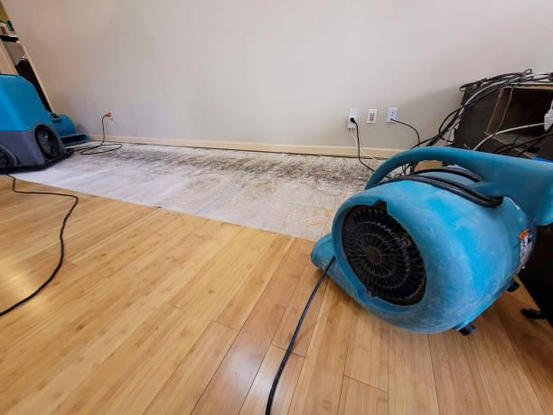 Professional Water Damage Repair technician working in Hennessey, OK
